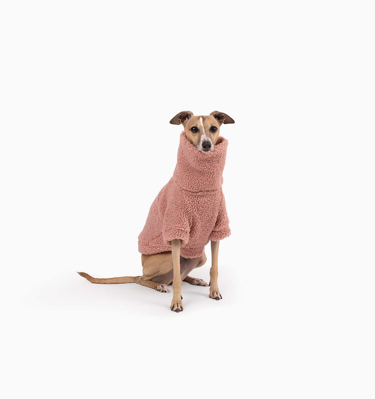 Rosie Teddy Jumper