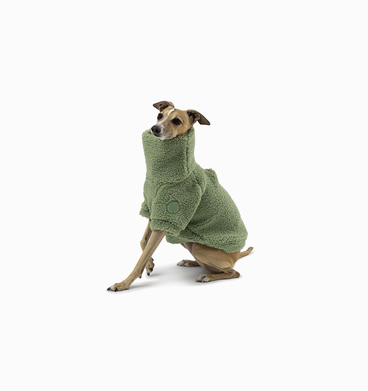 Matcha Green Teddy Jumper