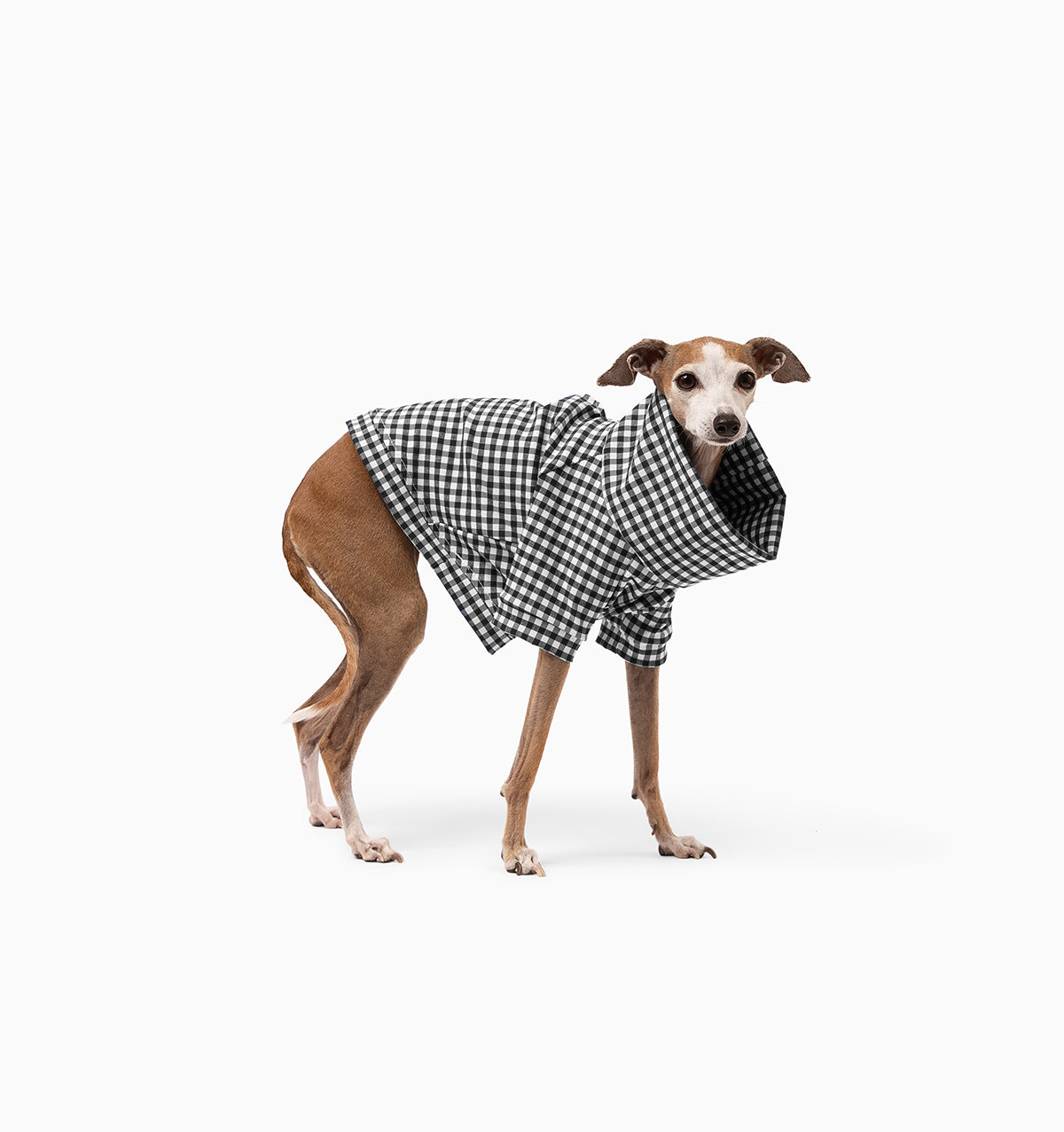 Bennett Gingham Jumper