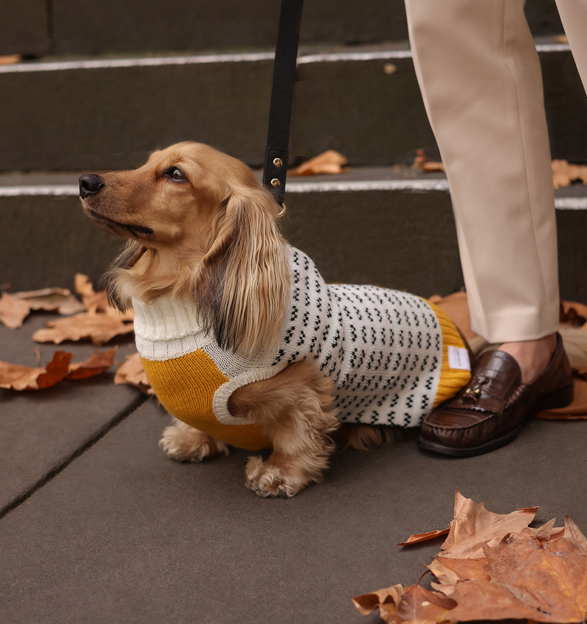 Winston Knit