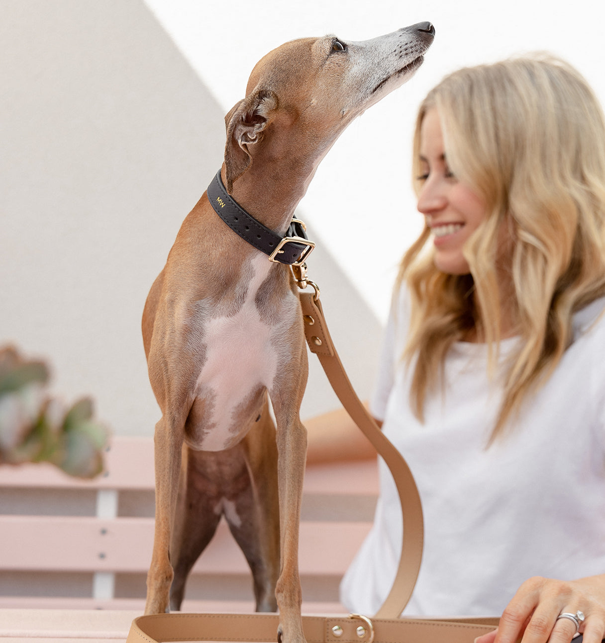 Styled in Sync: Curating Looks for You and Your Dog