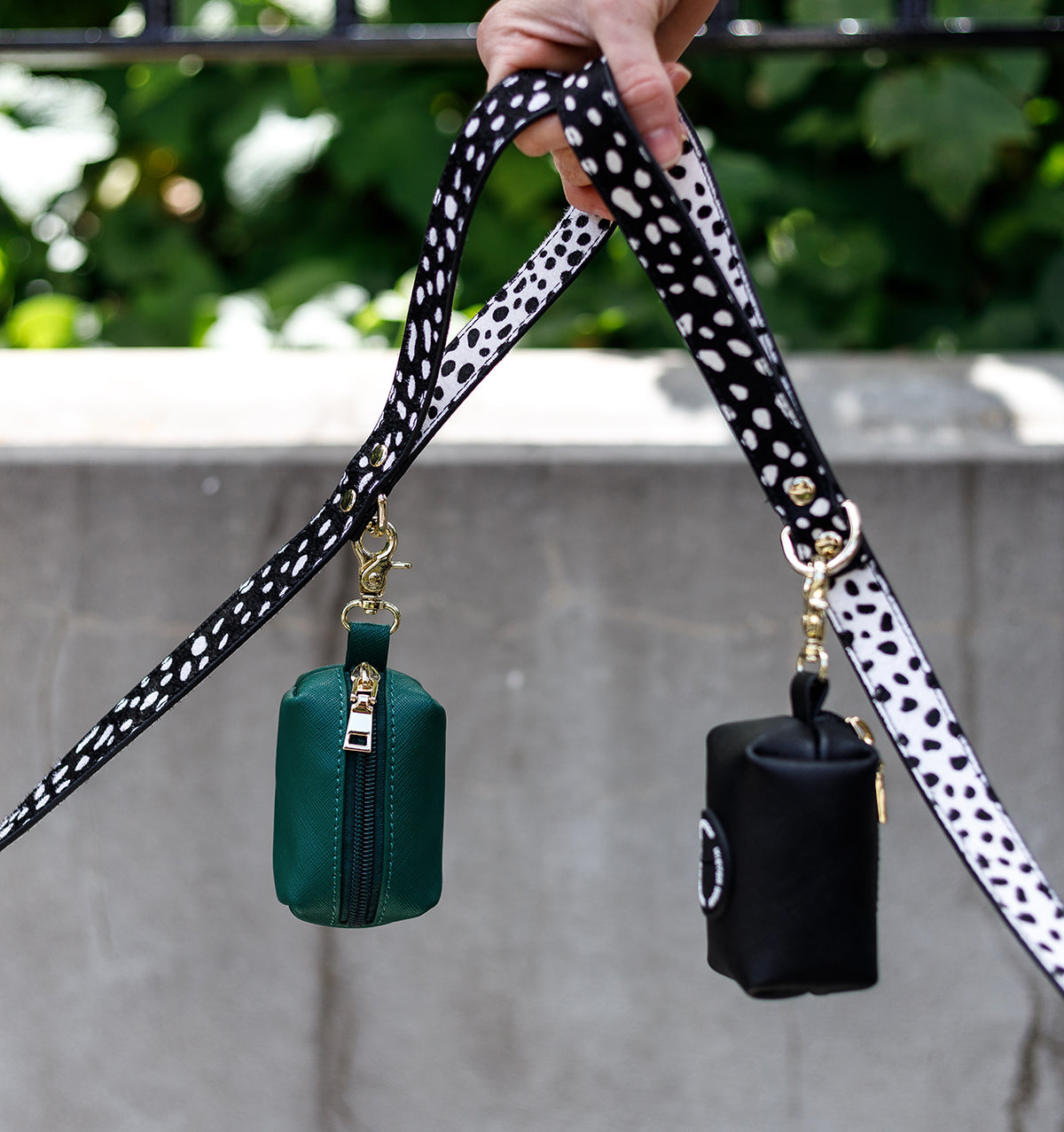 The Subtle Art of Matching Leads and Collars (Without Trying Too Hard)