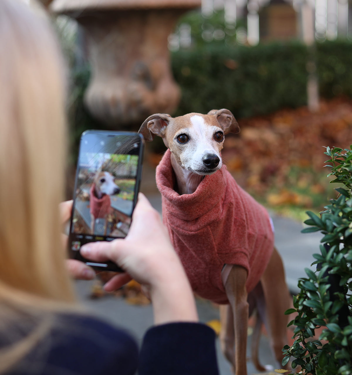 The Instagram Effect: Why Your Dog’s OOTD Matters