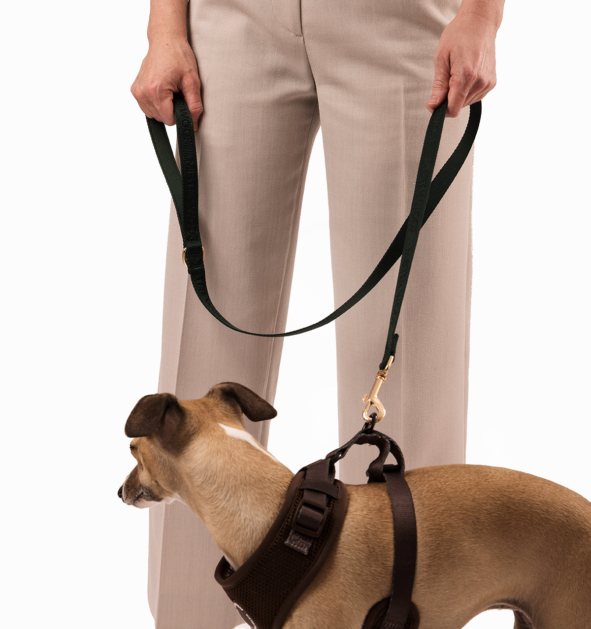 Deep Green 3-in-1 Hands Free Dog Lead