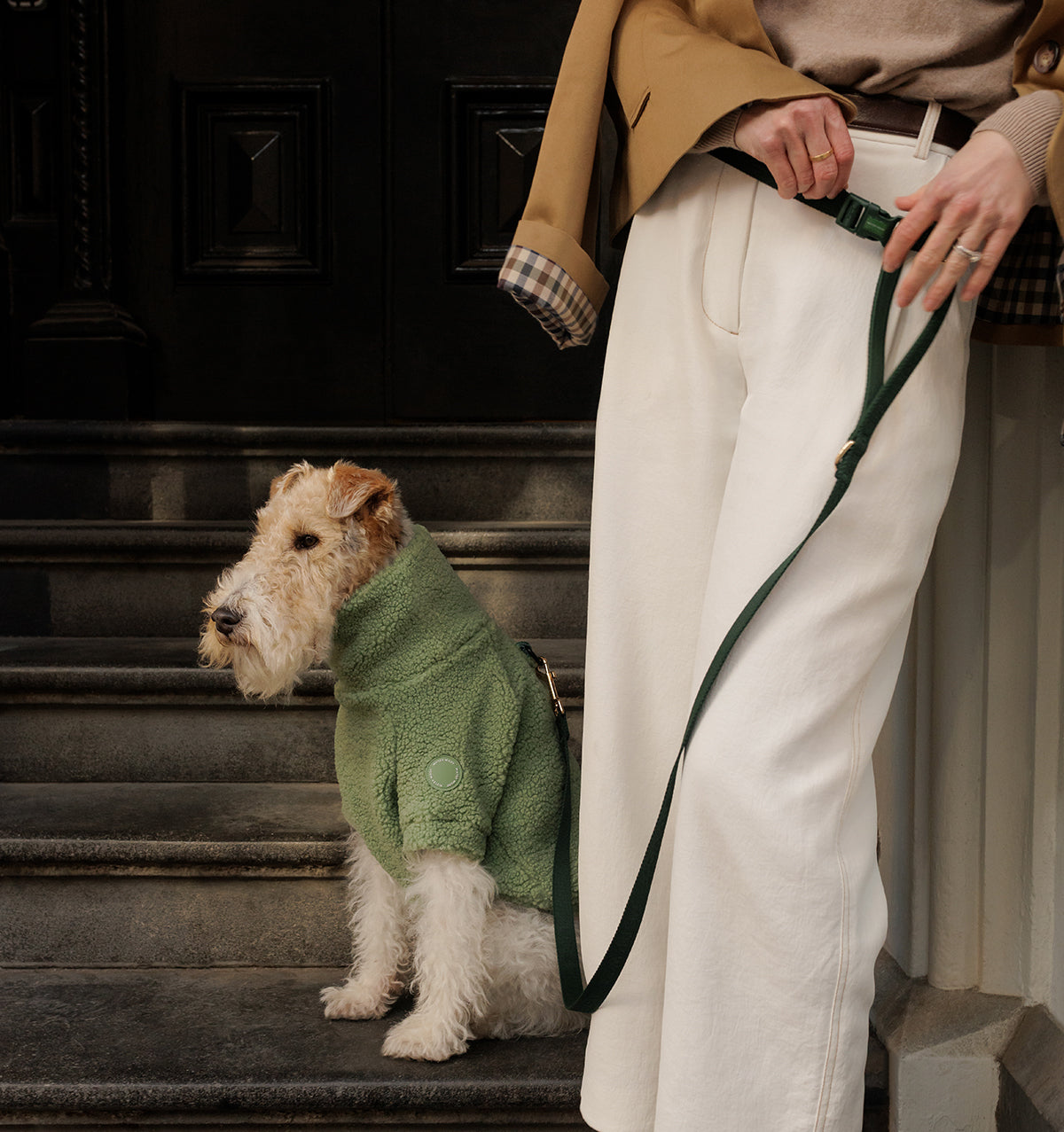 Deep Green 3-in-1 Hands Free Dog Lead