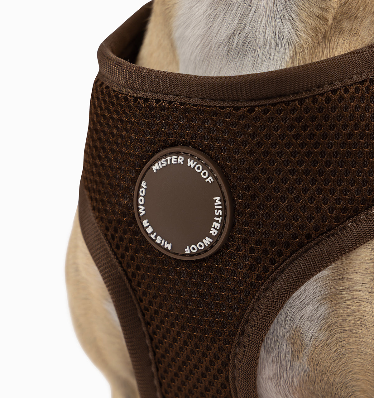 Espresso Dog Harness