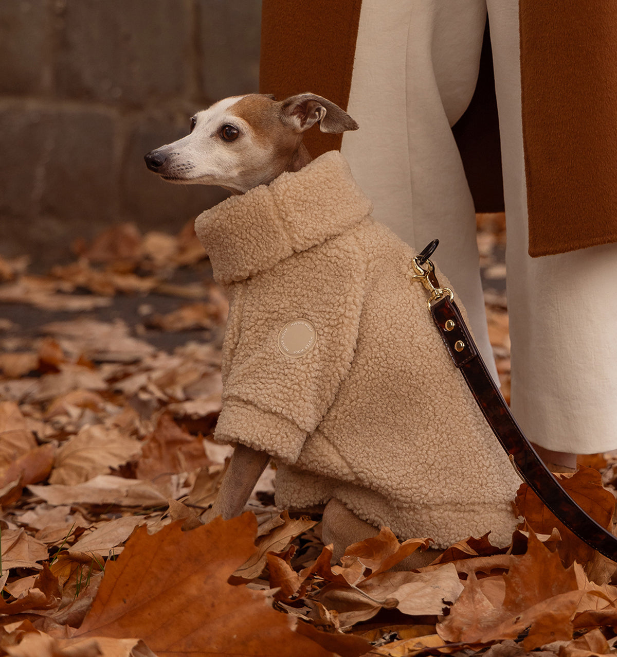 Fawn Teddy Jumper