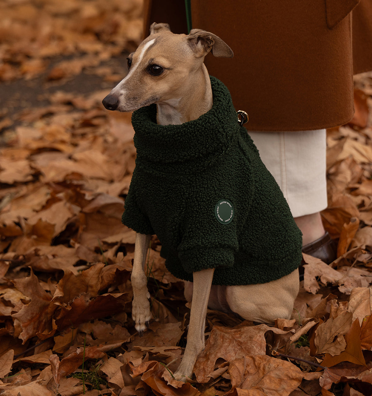 Forest Teddy Jumper