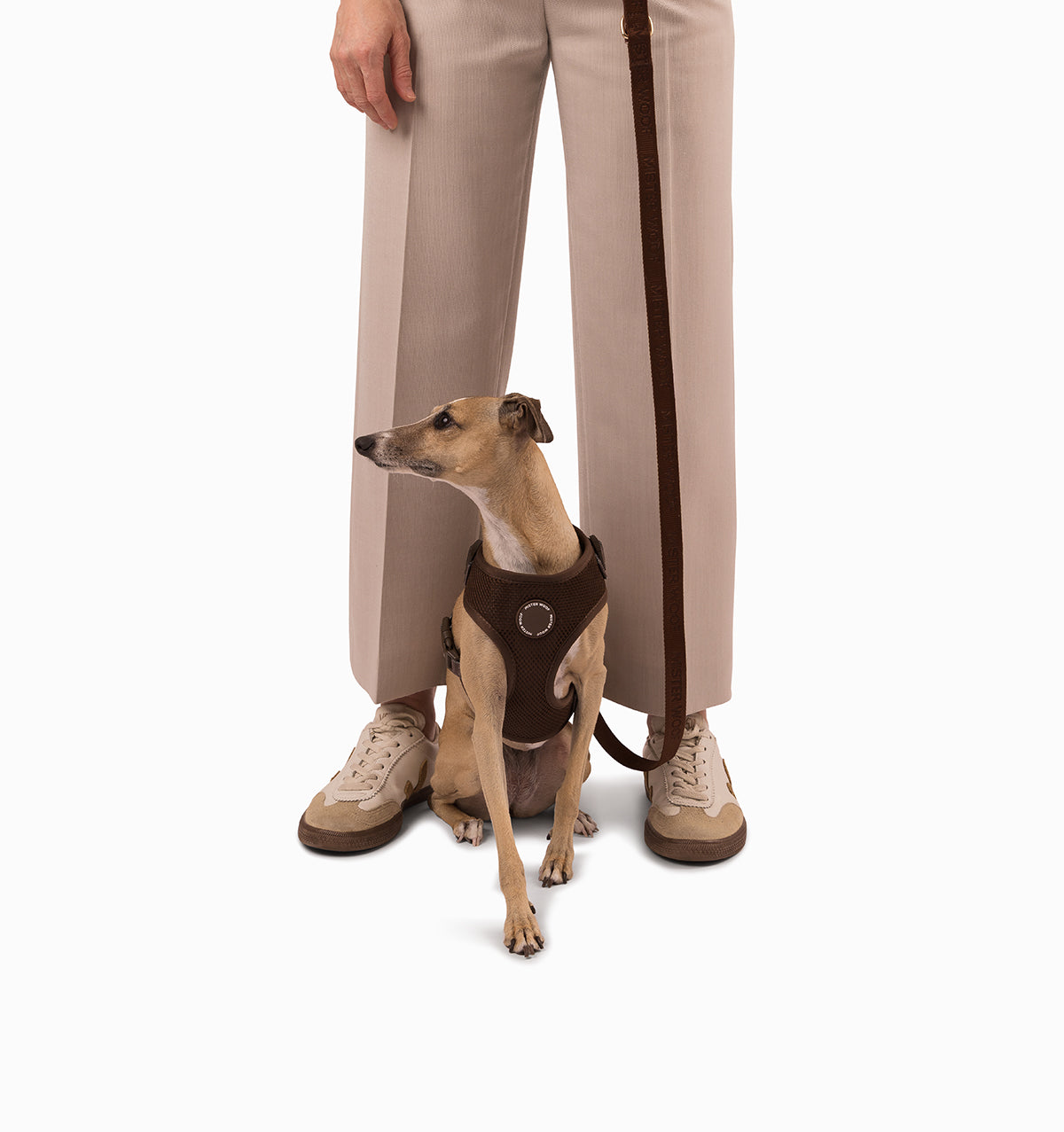 Espresso Dog Harness