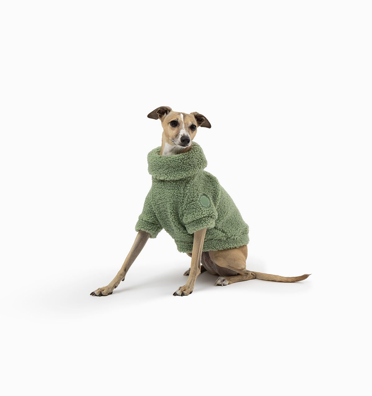 Matcha Green Teddy Jumper