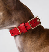 Red Leather Dog Collar